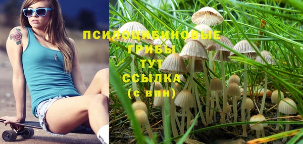 марки nbome Приозерск