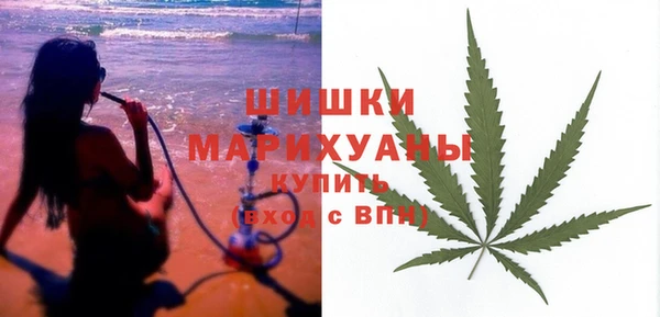 молекула духа Протвино