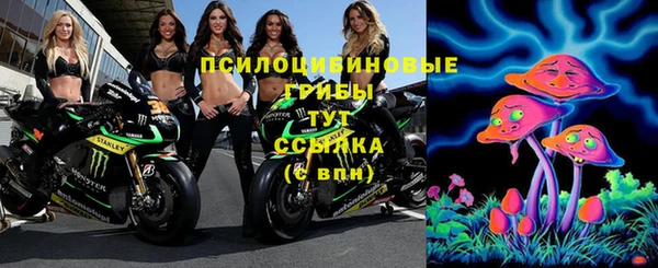 спиды Аркадак