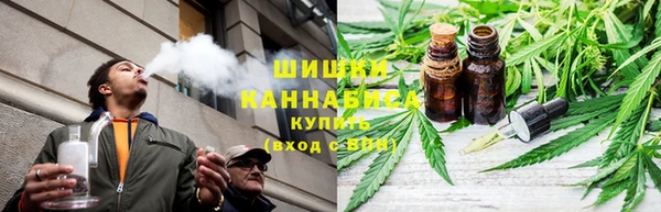 spice Арсеньев