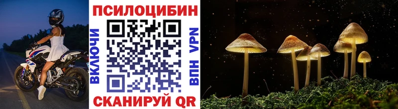 Галлюциногенные грибы Psilocybine cubensis  цена наркотик  Сясьстрой 